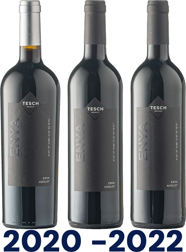 Vertikale: Enya Vertikale: Enya