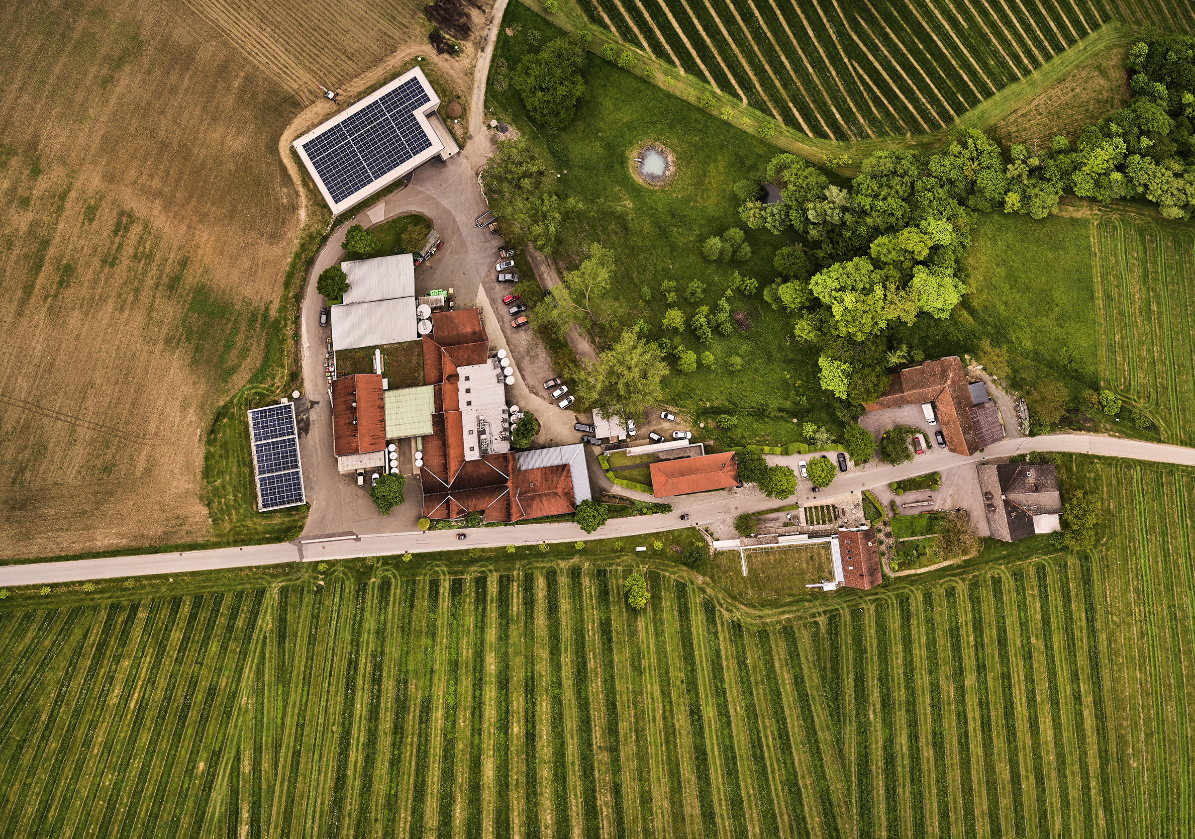 Drohnenaufnahme vom Weingut Polz