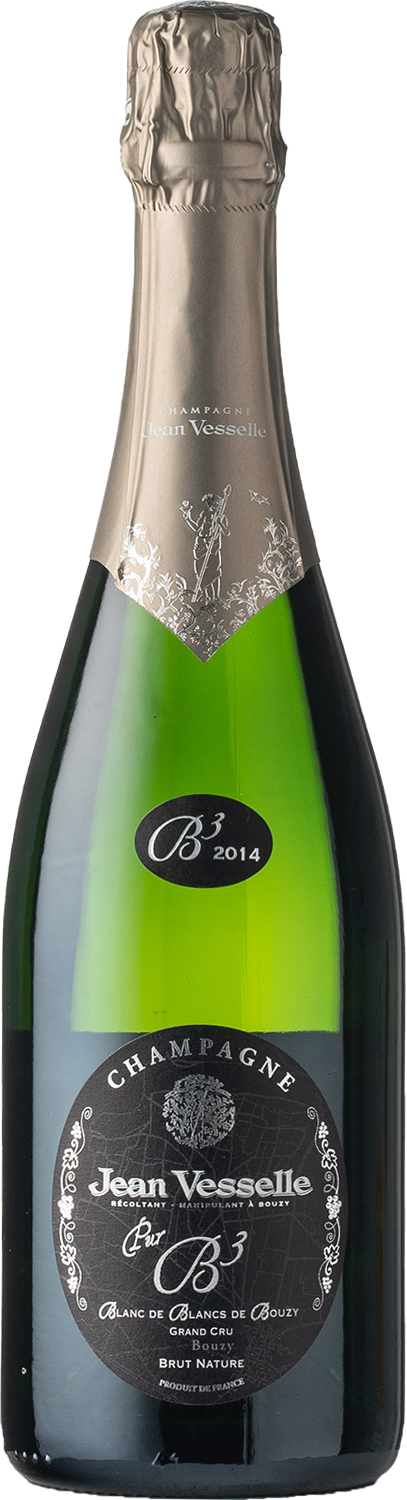 Blanc de Blancs de Bouzy Brut Nature