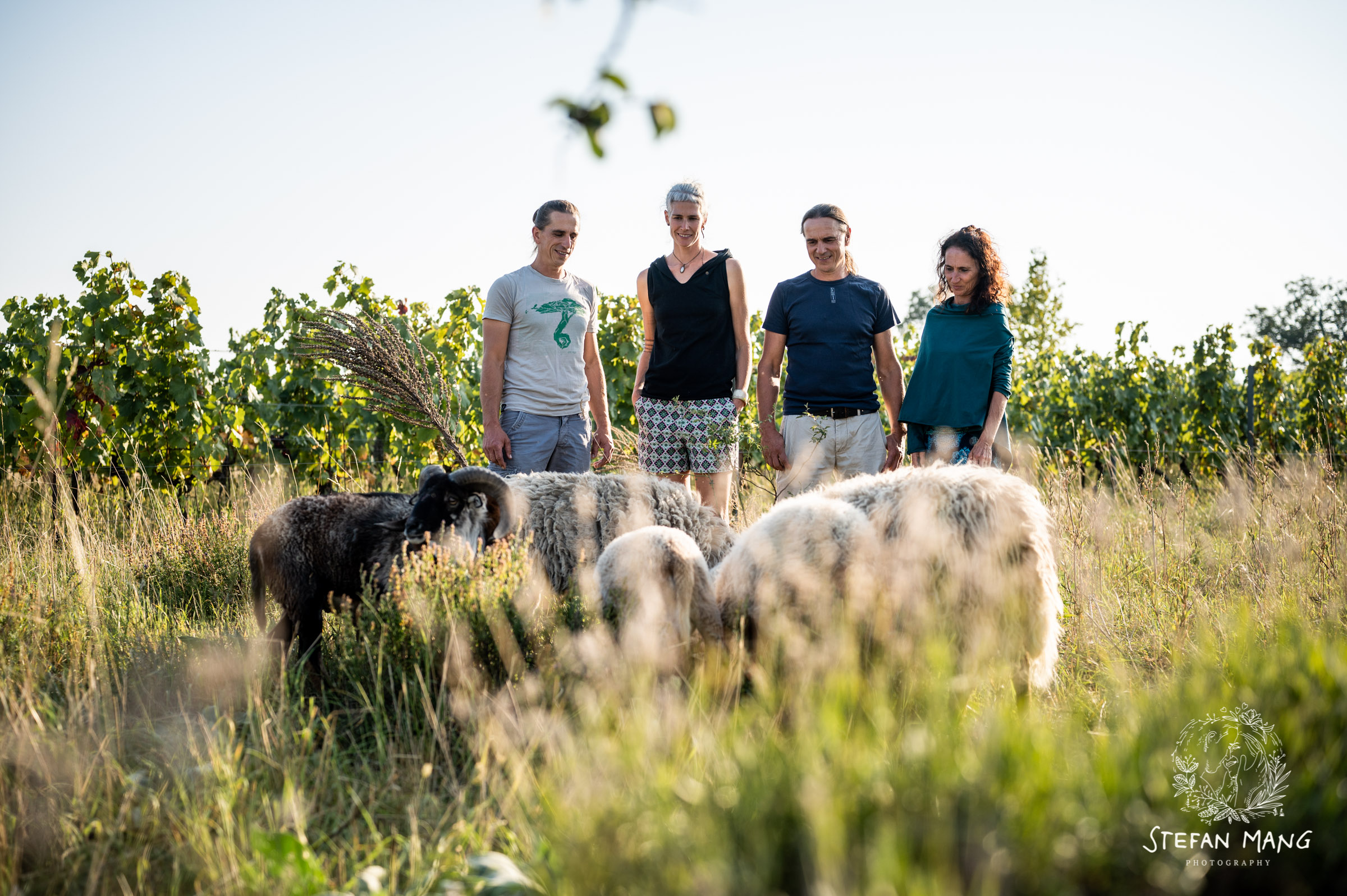 4 Personen vom Weingut Ernst Triebaumer stehen im Weingarten mit Schafen