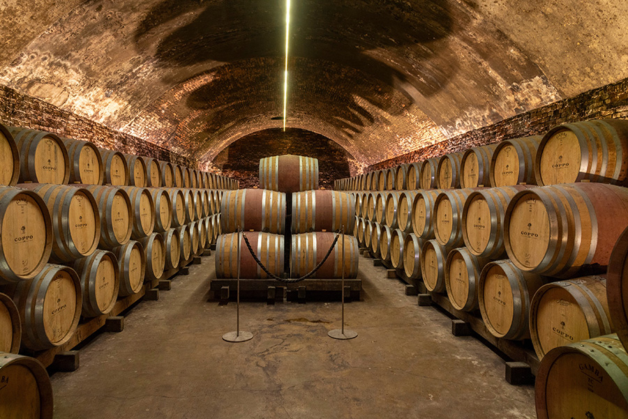 Weinkeller des Weingut Coppo