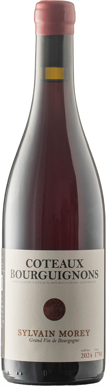 Coteaux Bourguignons Rouge AOC