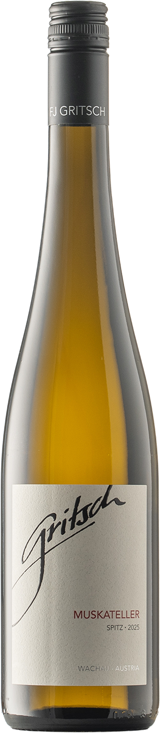 Spitz Gelber Muskateller