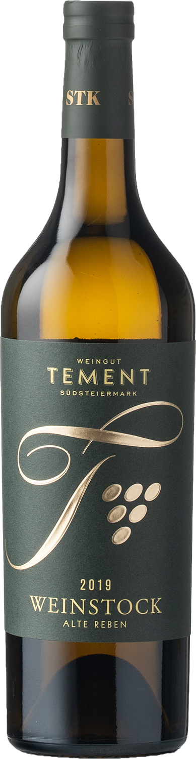 Welschriesling Weinstock Alte Reben Welschriesling Weinstock Alte Reben