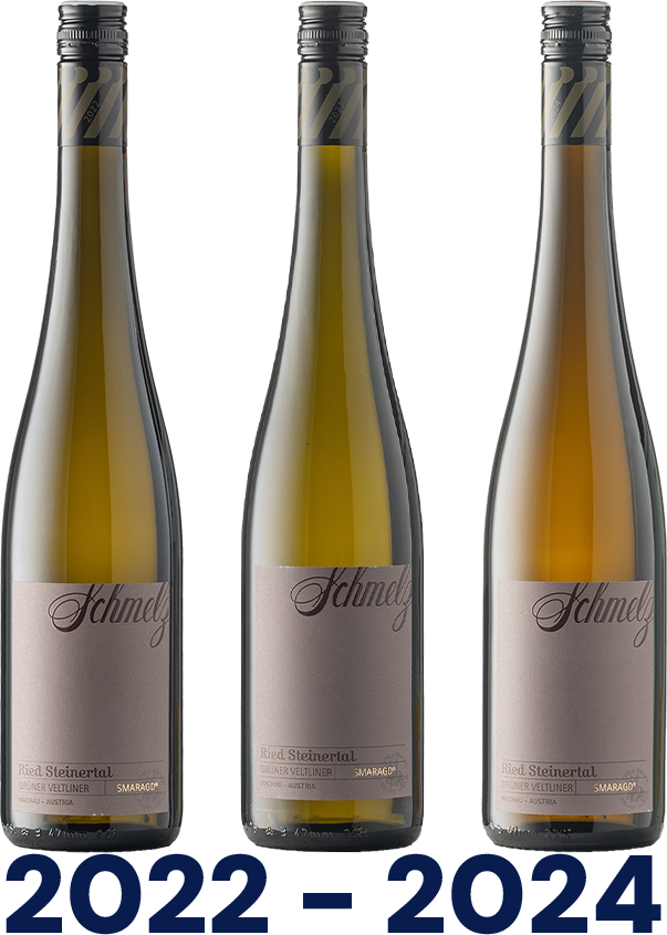 Vertikale: Grüner Veltliner Ried Steinertal Smaragd