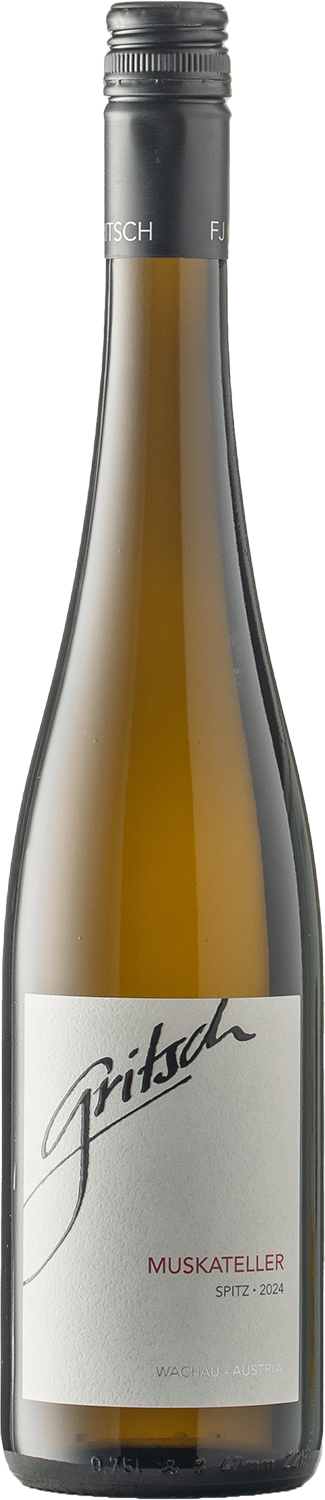 Spitz Gelber Muskateller