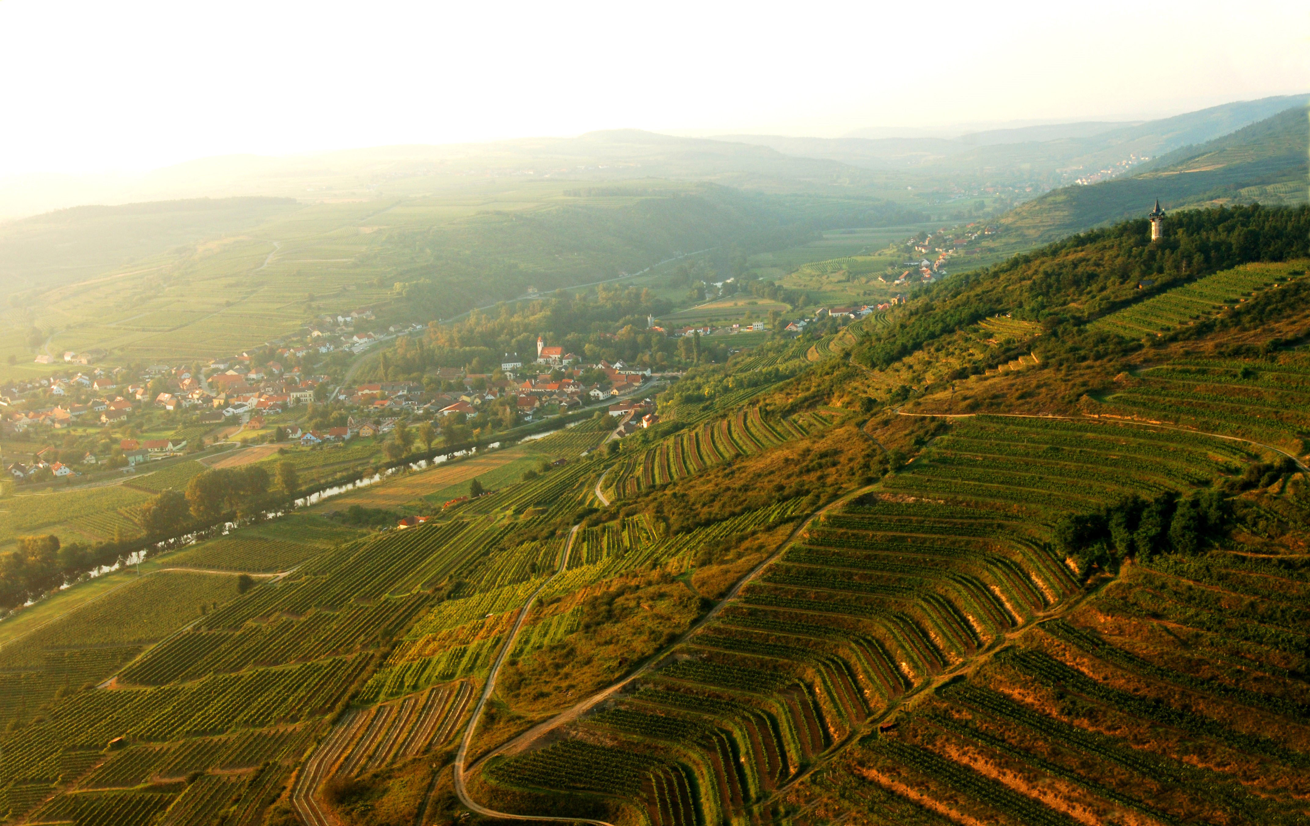 Weingut Öhlzelt, Blick über Ried Heiligenstein