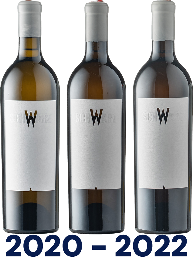 Vertikale: Schwarz Weiß Vertikale: Schwarz Weiß