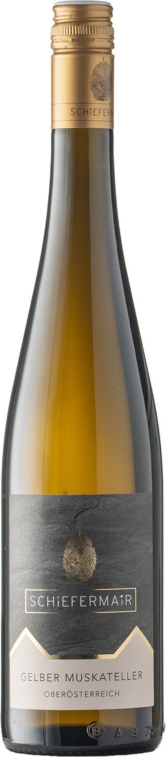 Gelber Muskateller