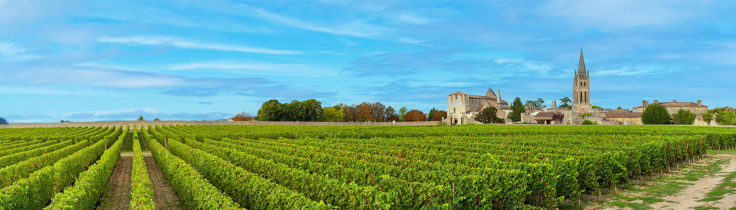 Weinreben mit Schloss im Hintergrund