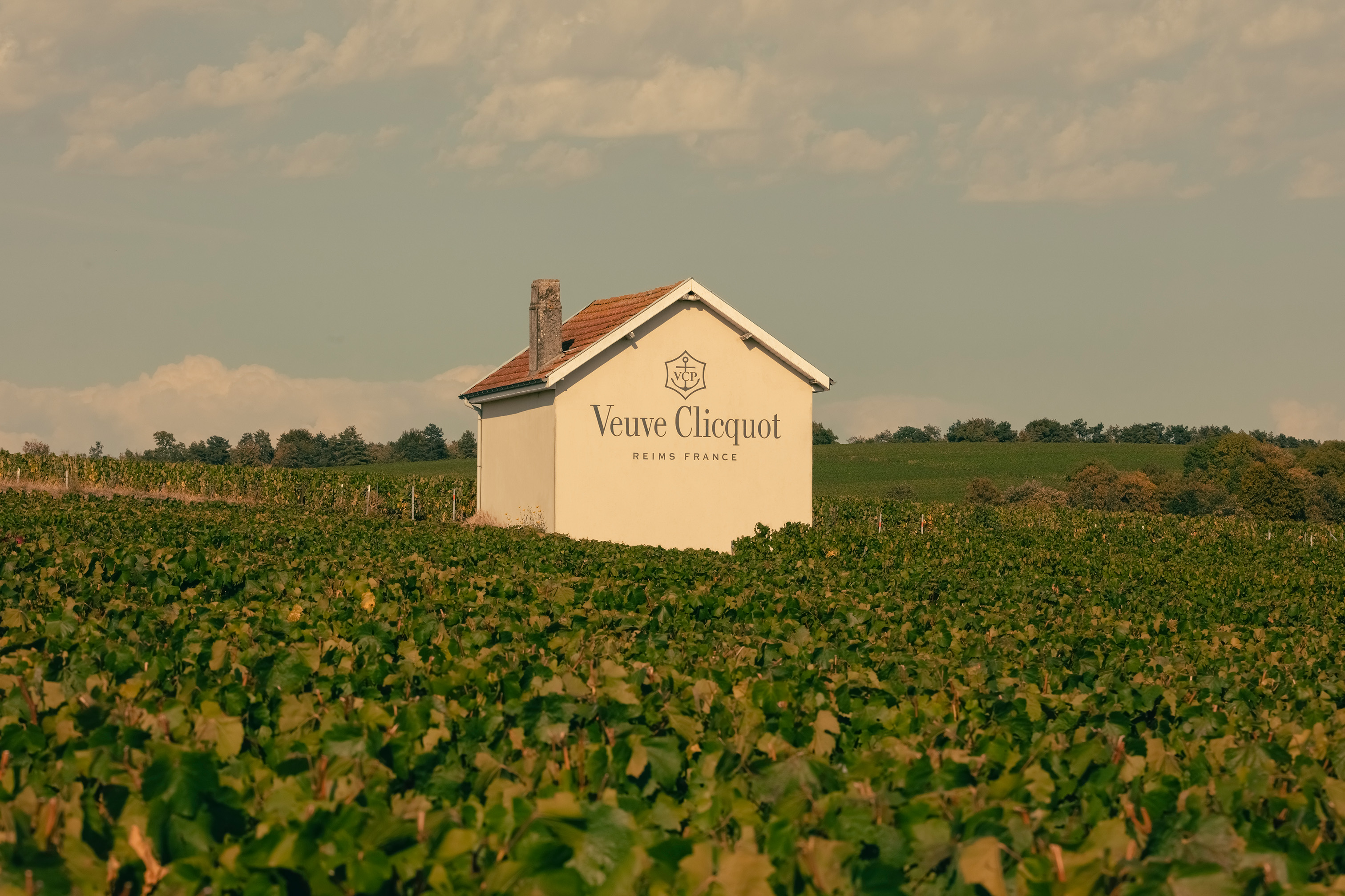 ein Haus in Mitten der Weingärten mit dem Logo bedruckt von Veuve Clicquot