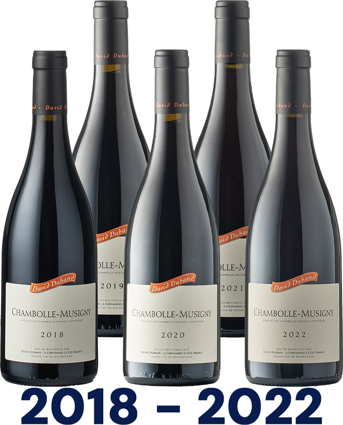 Vertikale: Chambolle-Musigny AOC