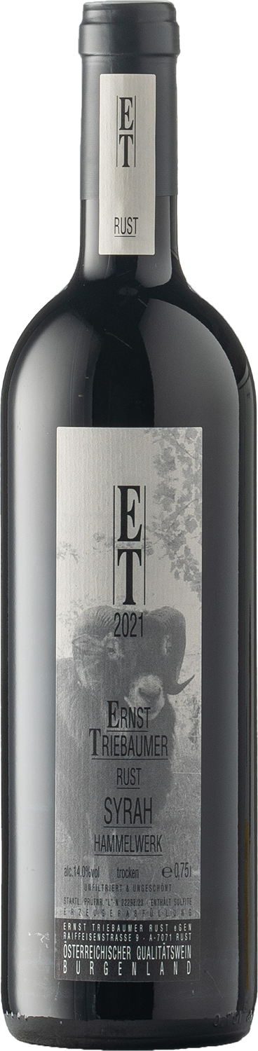 Syrah Hammelwerk Syrah Hammelwerk