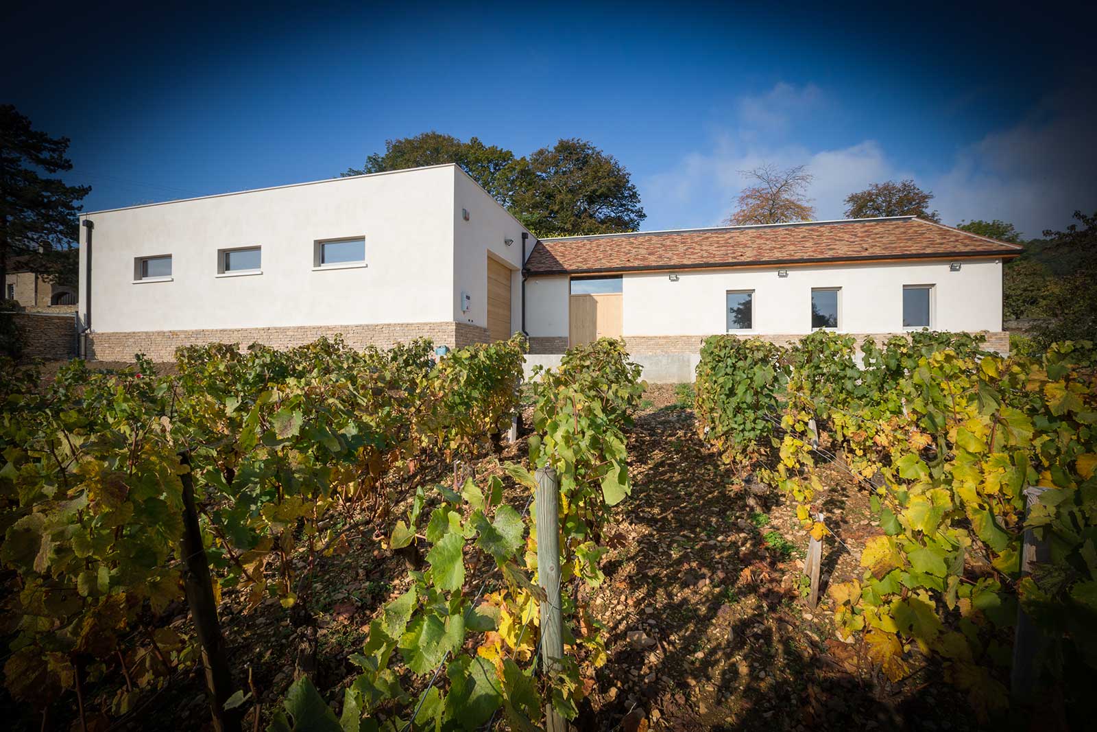 Hauptgebäude der Domaine Chapelle de Blagny mit Weinreben im Vordergrund