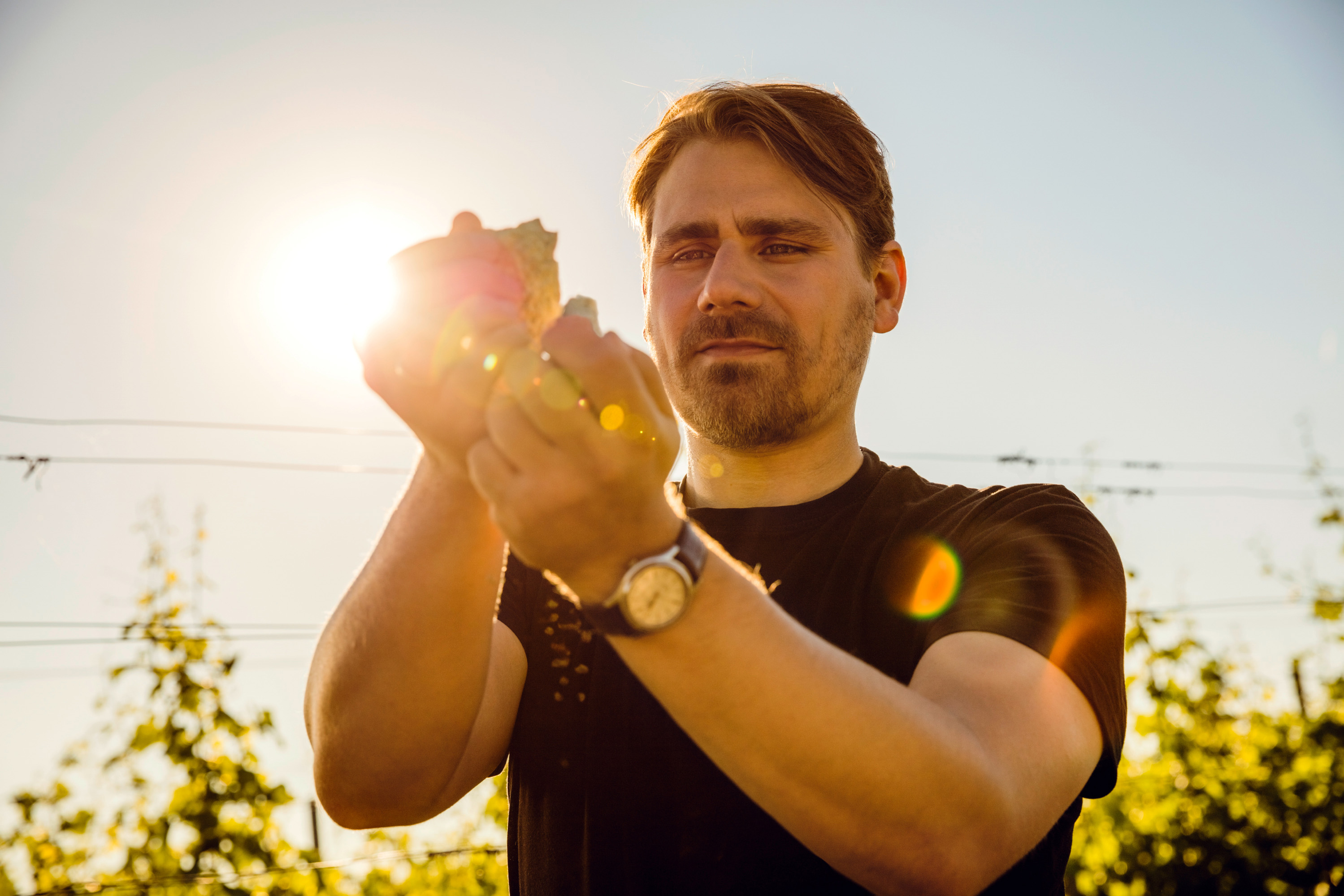Markus Altenburger hält eine Weintraube im Sonnenlicht