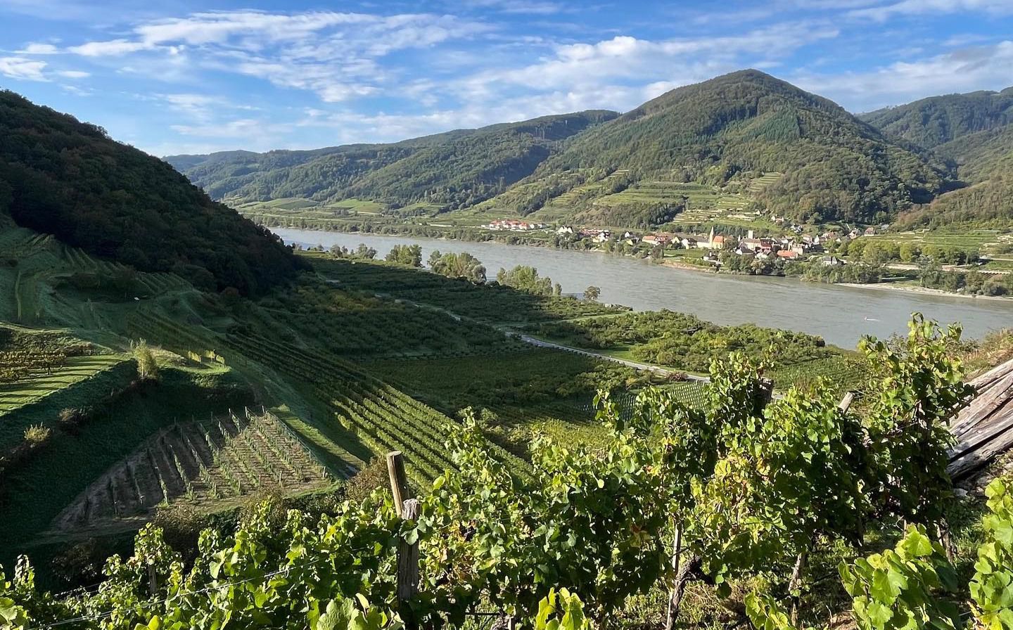 weingut-lahrnsteig-vinospirit
